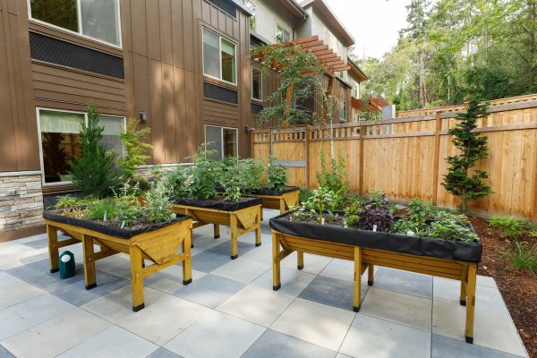 An outdoor garden area