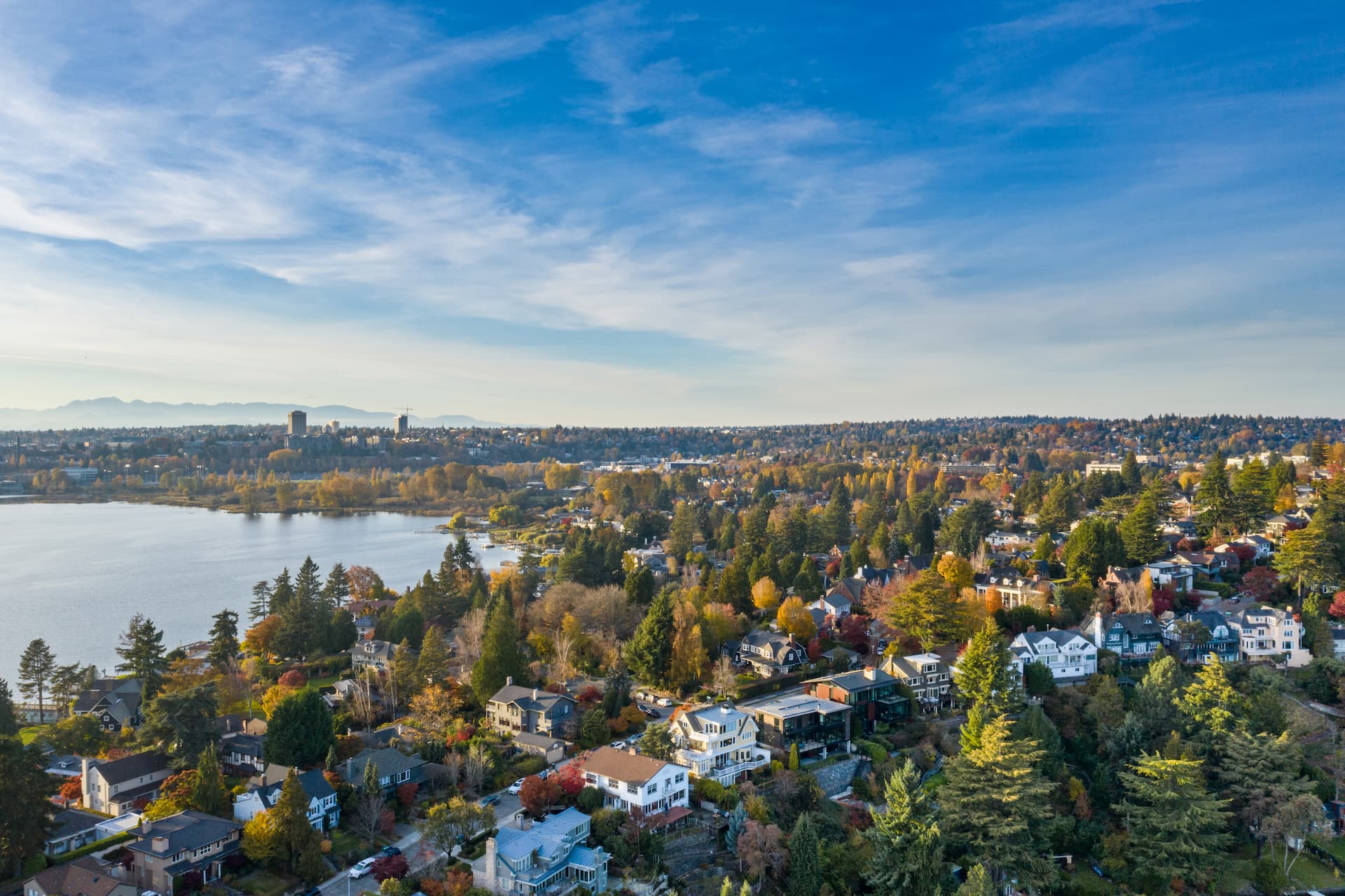 An aerial view of Seattle’s Laurelhurst neighborhood, with lots of trees, Lake Union to the left, and a bright blue sky in the background