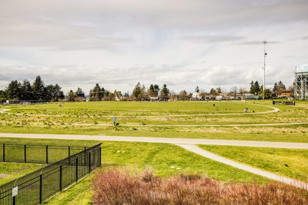 A open, grassy field with walking paths