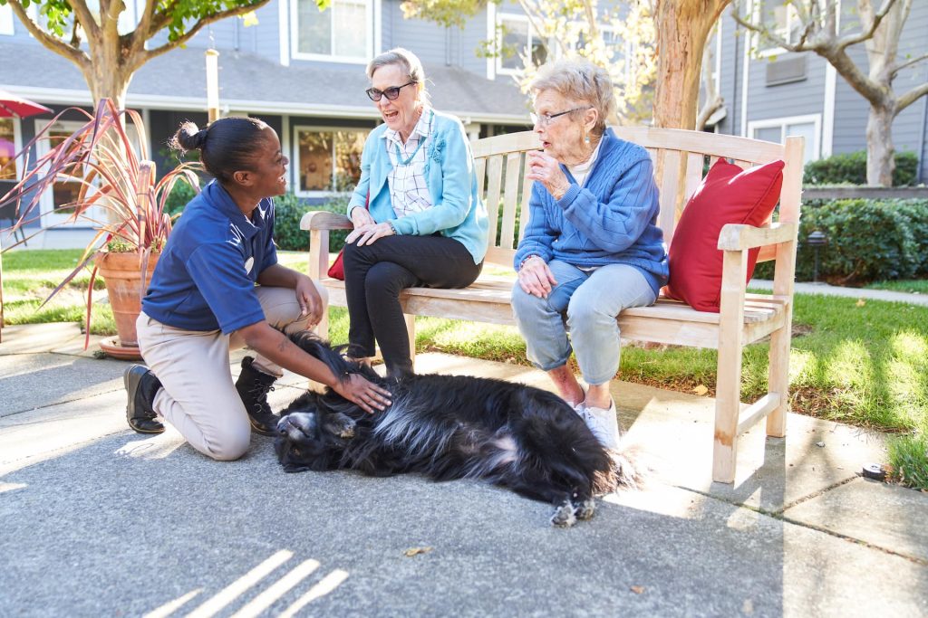 Residents and an employee petting a dog