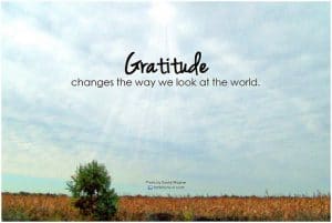 gratitude article