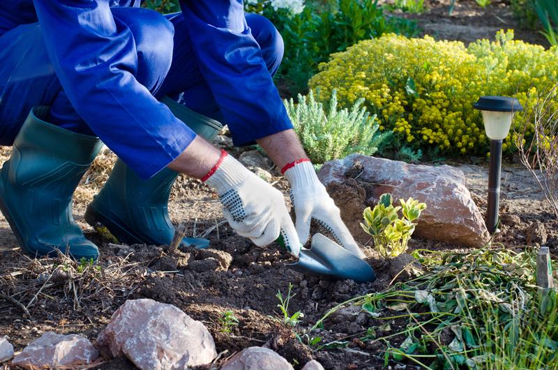 Spring offers opportunities for increased activity, such as afternoon strolls around the community and tending to the garden.